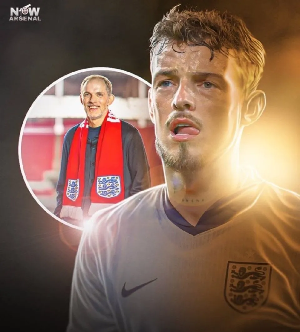 尊龙官网 - 波特兰开拓者 